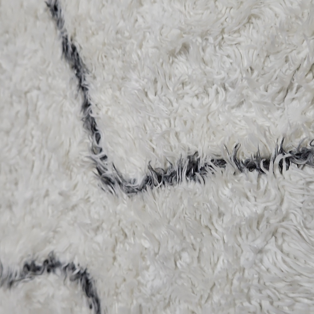 6×9 Ruggable Shag Rug - Picture 6 of 8